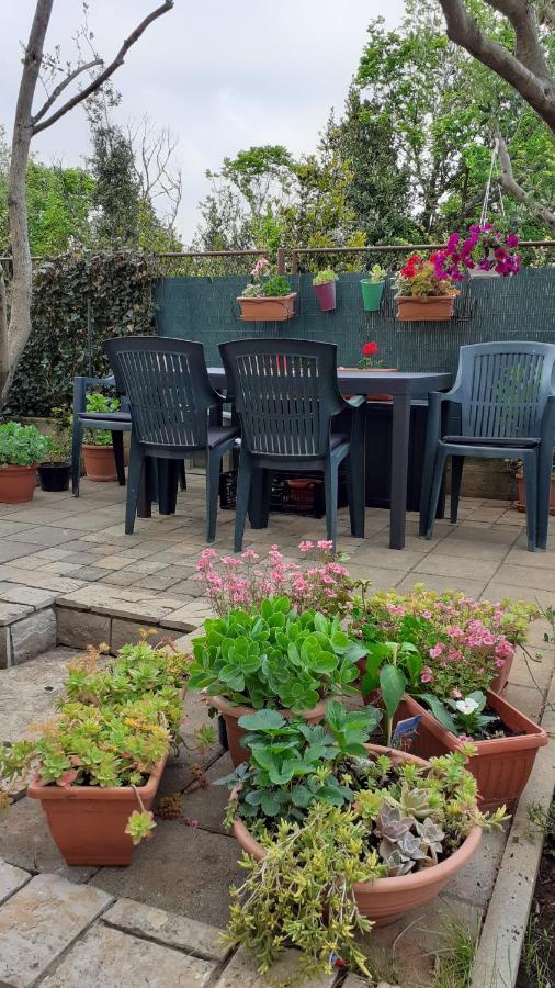 Apartament Apartment Airin Zadar